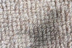 mildew-carpet-stain-before3