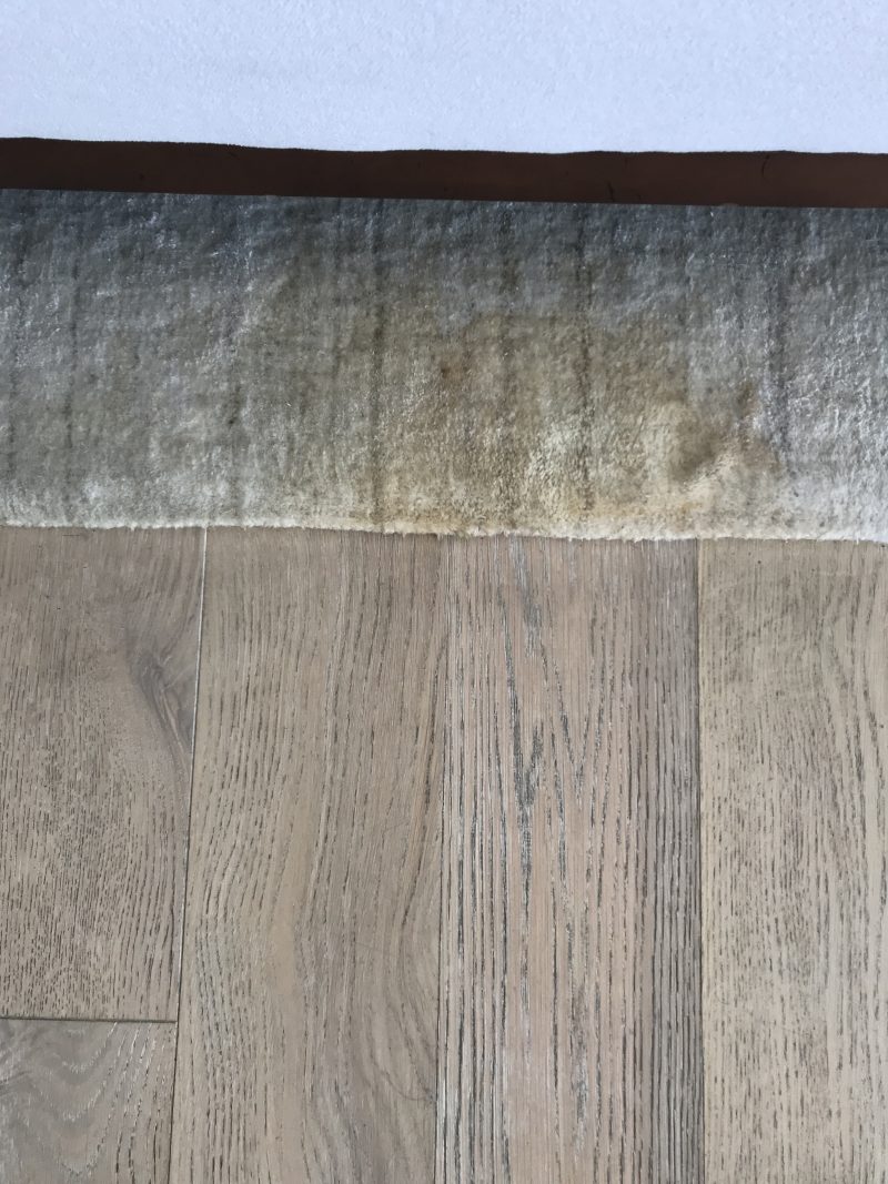 Rug Stain Removal- Pet Vomit Before
