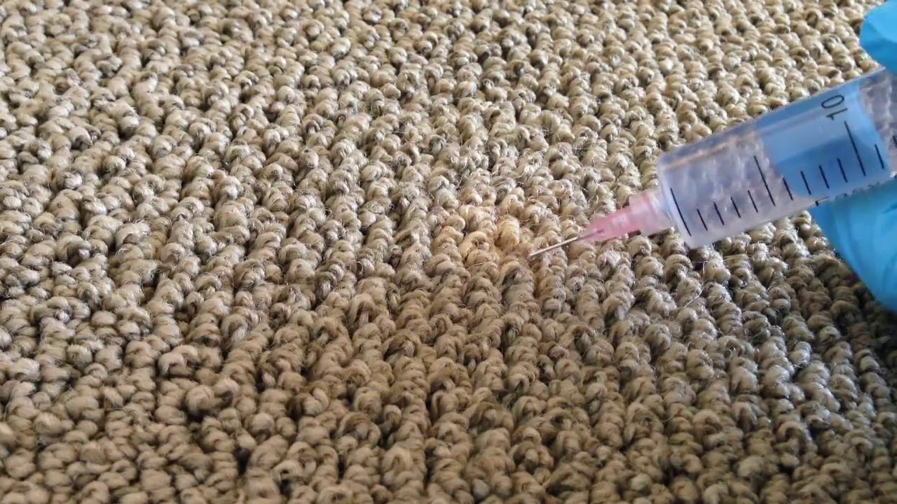 Expert Carpet Dyeing & Color Restoration