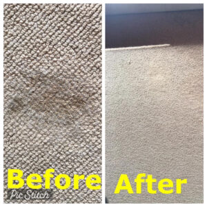 MILDEW STAIN REMOVAL