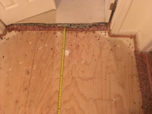 fixing squeaky floors under carpet