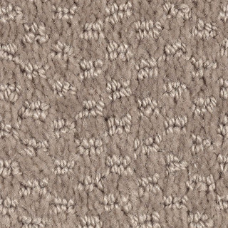 859-Taupe-Treasure