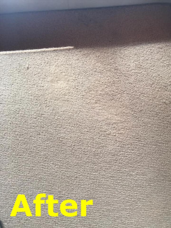 mildew-carpet-stain-after