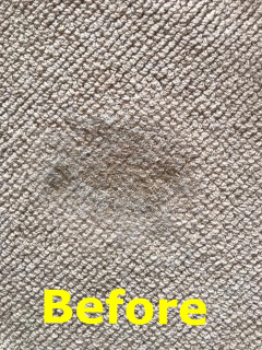 mildew-carpet-stain-before