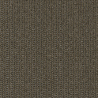 3293-Road-Less-Traveled