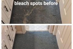 Expert Bleach Spot Repair