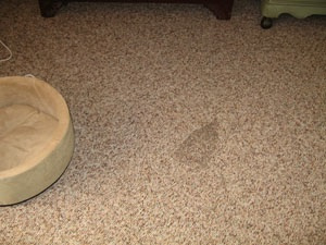 IronBurnInBerberBefore