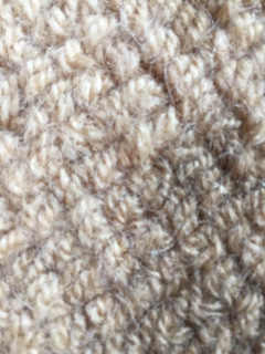 mildew-carpet-stain-before2