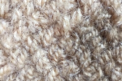 mildew-carpet-stain-before2
