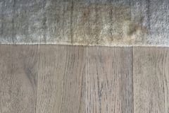 Rug Stain Removal- Pet Vomit Before
