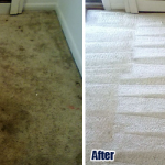 Carpet Cleaning Los Angeles Ca