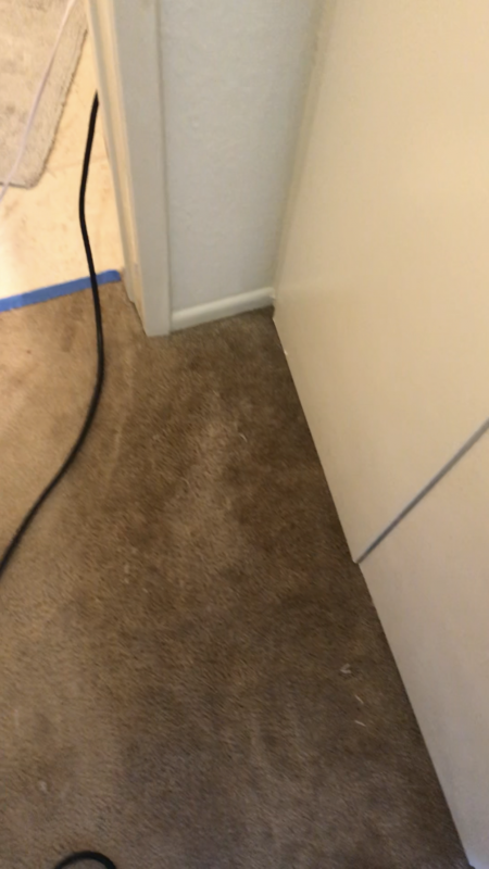 Spot Dying  Higens Carpet Cleaning