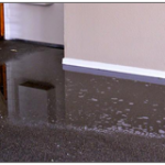 Water Damaged-Carpet-Repair-Los Angeles CA