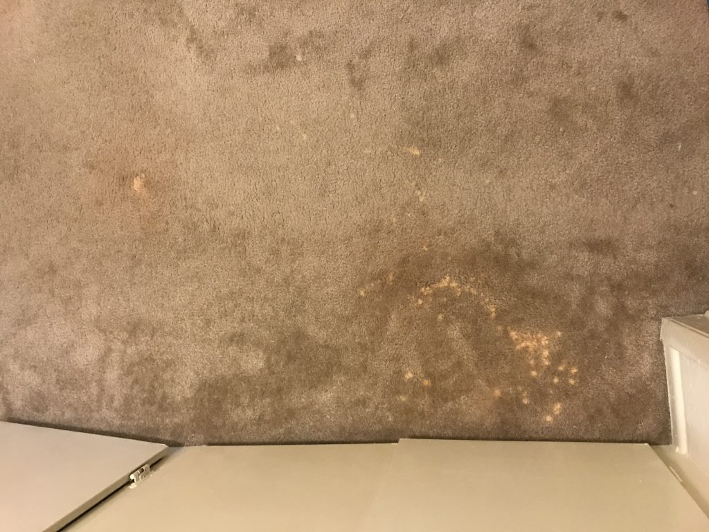 bleach spot repair los angeles