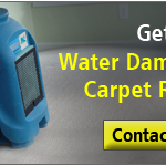 water-damage-carpet