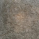 IMG_6628