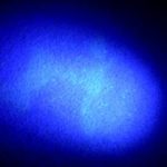 blacklight-for-pet-urine-detection
