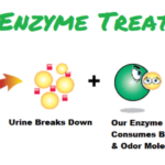 our-enzyme-treatment-explained-final2-1024×313