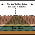 urine-diagram-1024×667