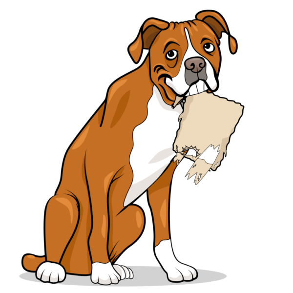 Expert Carpet RepairCarpet DyeingCarpet Cleaning Los Angeles (310) 7362018 Revive Carpet