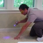 Pet urine blacklight detection