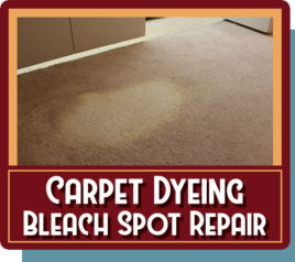 carpet dyeing bleach spot repair