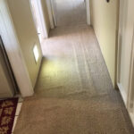 carpet-cleaning 2_after