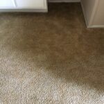 rental carpet cleaning1-after