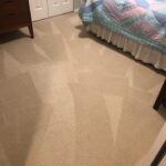 Blood Stain From Carpet Removal After
